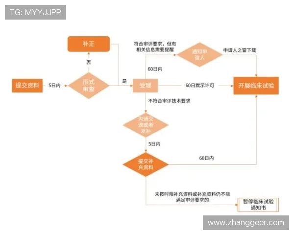 k8凯发中文站安全可靠的游戏平台推荐及注册流程详细指南
