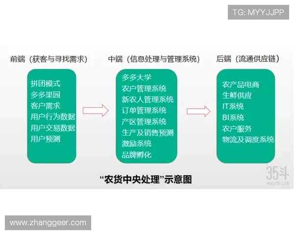 凯发天生赢家网站注册流程与新手攻略全方位指导助你快速上手