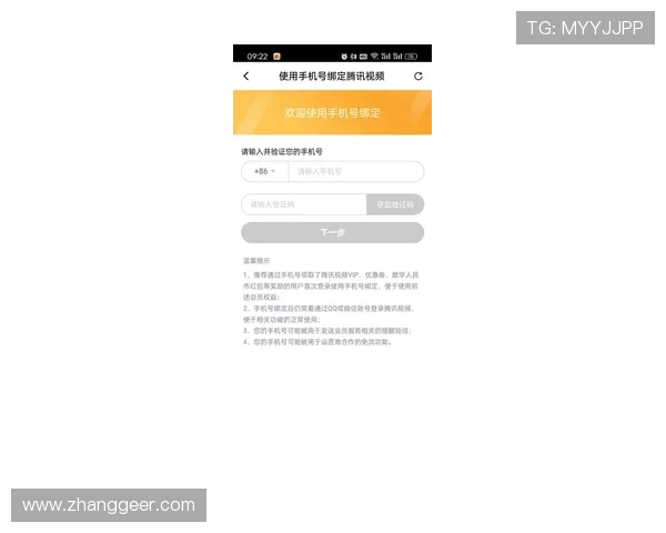 凯发vip会员续费流程详解，确保您的尊贵身份持续享受优质游戏服务